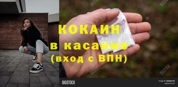 гидра Ельня