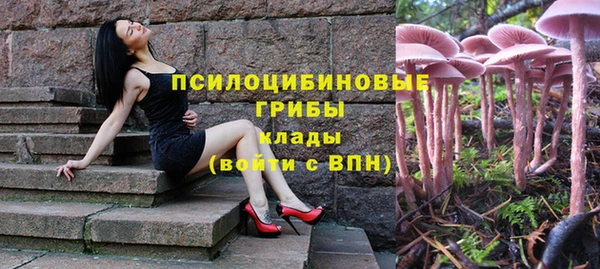 дмт Заволжье
