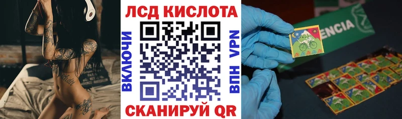 где можно купить наркотик  Новый Уренгой  Наркотические марки 1,8мг 