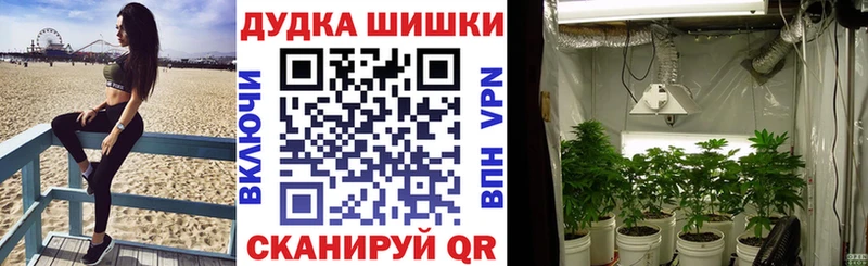 Конопля марихуана  Новый Уренгой 